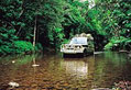 4wd tours in the Daintree rainforest