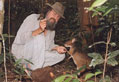 David Armbrust with Red-Legged Pademelon and a Macleays Honeyeater