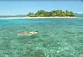 Snorkelling at Low Isles coral cay