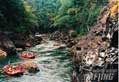 White-water rafting on a lush tropical Queensland river